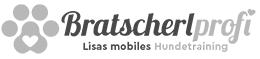 bratscherlprofi-logo-trans